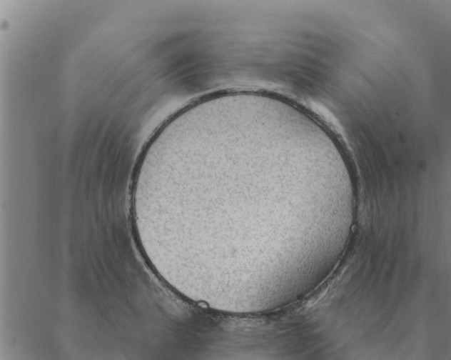 X0000088411183200706191415