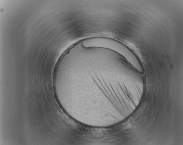 X0000088411184200706191415