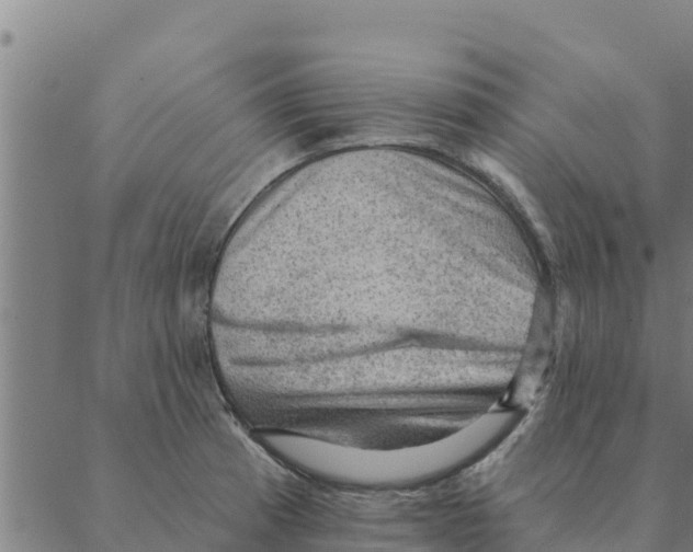 X0000088411185200706191415