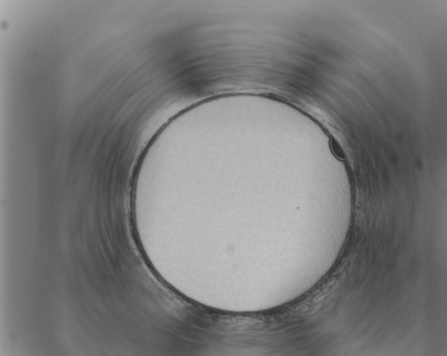 X0000088411187200706191415