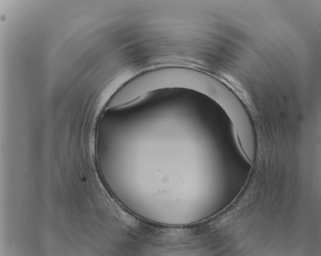 X0000088411188200706191415