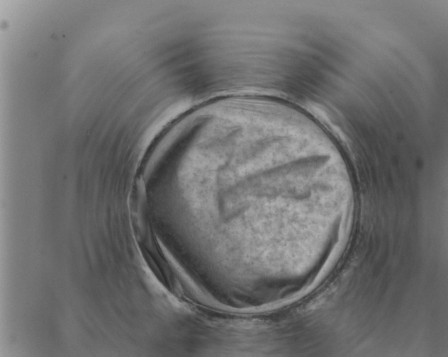 X0000088411189200706191415