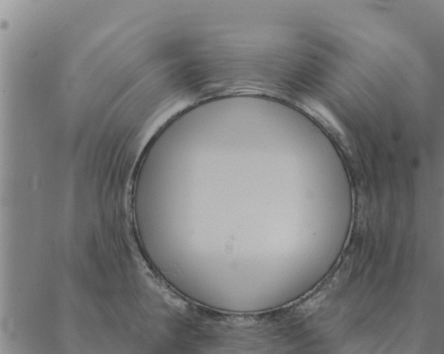 X0000088411190200706191415