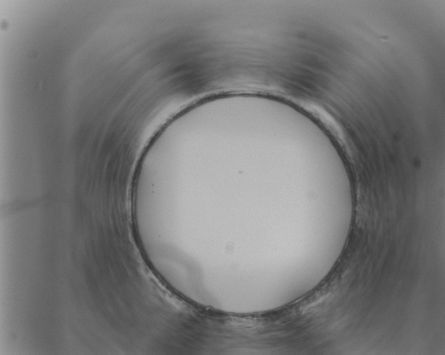 X0000088411191200706191415