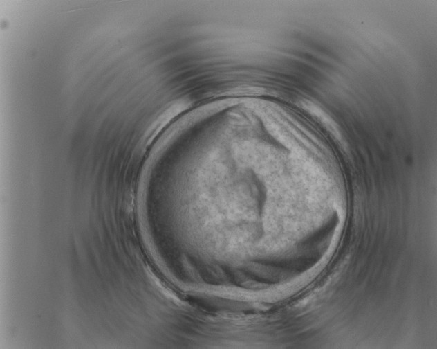 X0000088411193200706191414