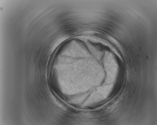 X0000088411194200706191414