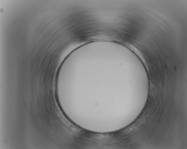 X0000088411195200706191414