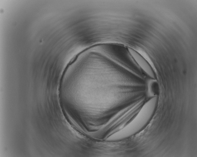 X0000088411197200706191414