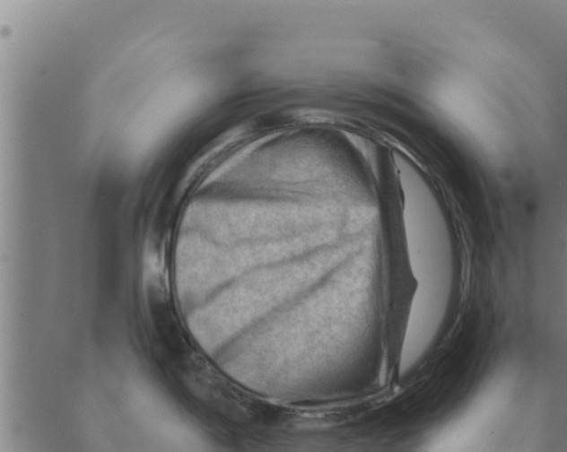 X0000088411198200706191414