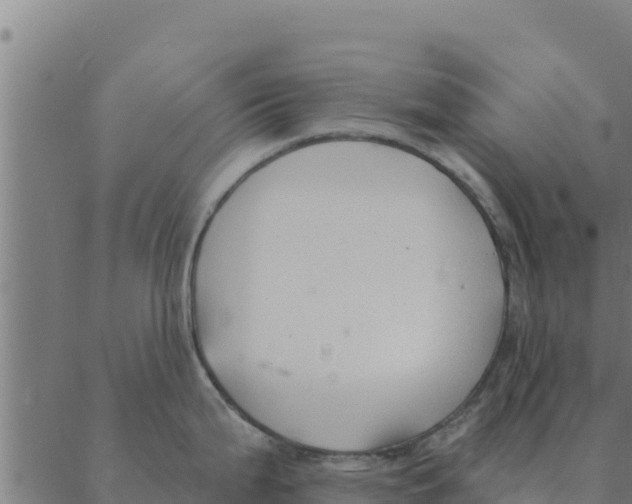 X0000088411199200706191414