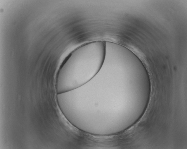 X0000088411200200706191414