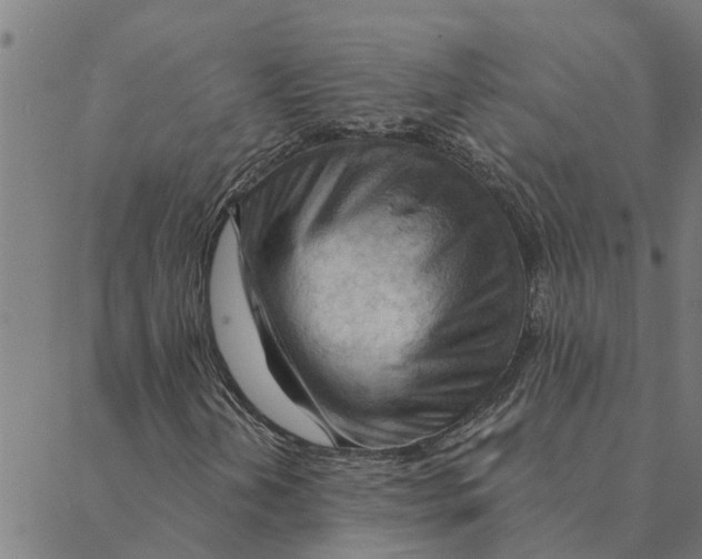 X0000088411202200706191414