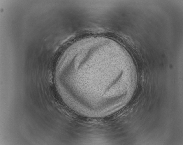 X0000088411205200706191414