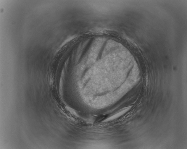 X0000088411206200706191414