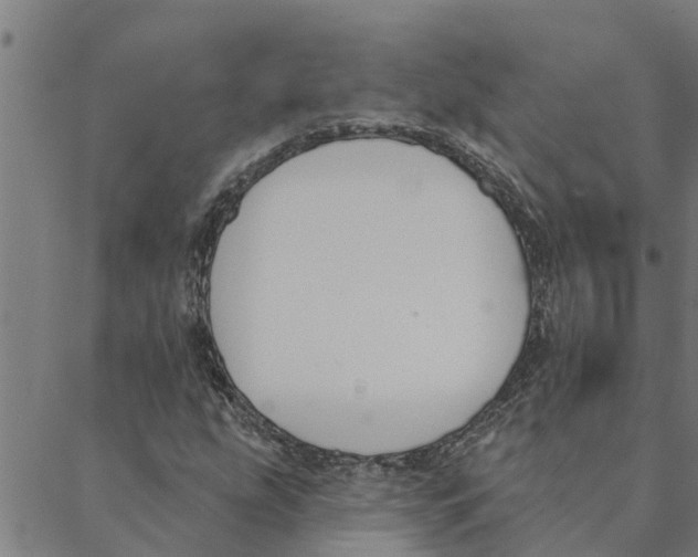 X0000088411207200706191414