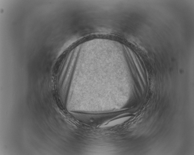 X0000088411208200706191414