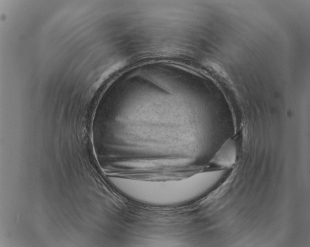 X0000088411210200706191414