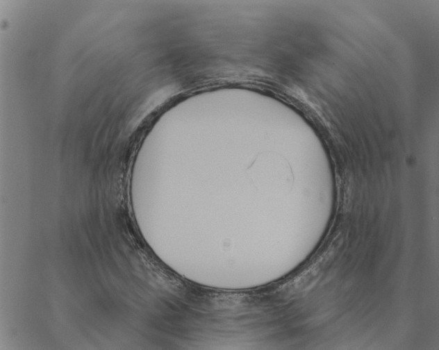 X0000088411211200706191414