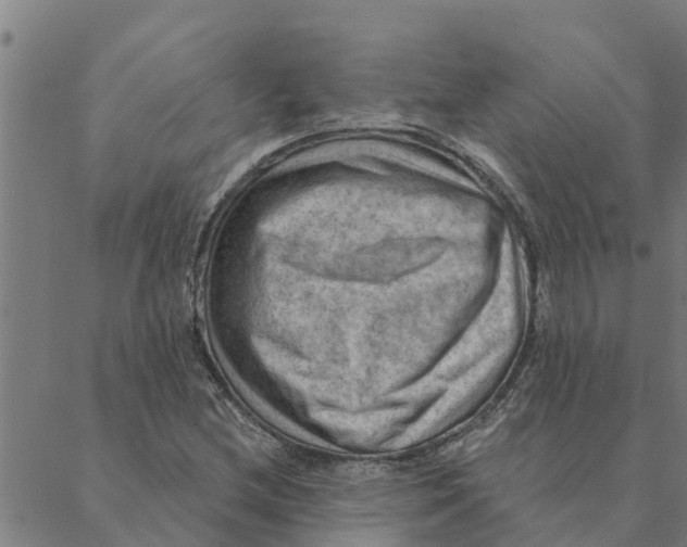 X0000088411212200706191414