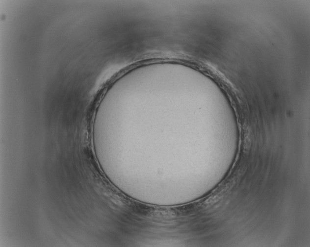 X0000088411215200706191414