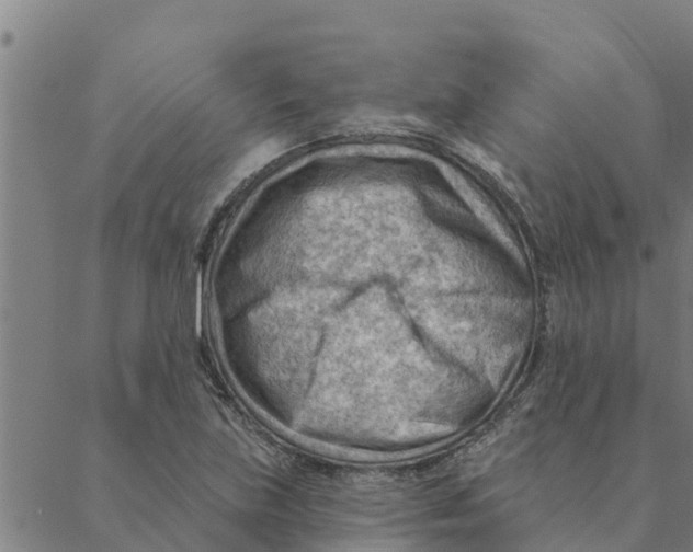 X0000088411219200706191414