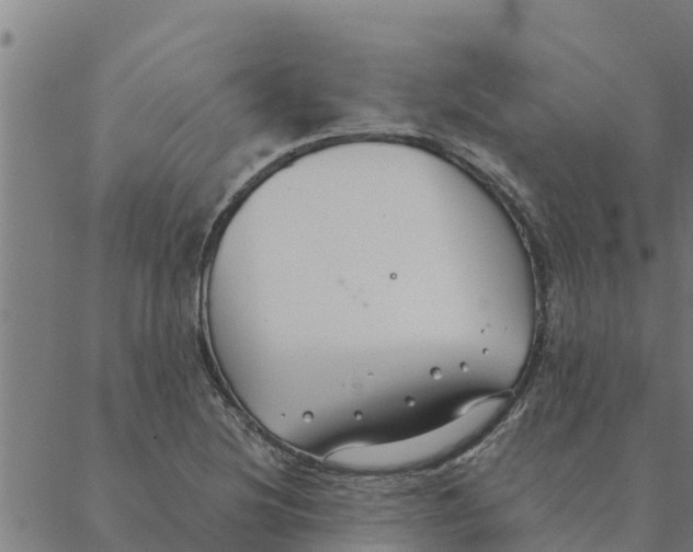 X0000088411220200706191414