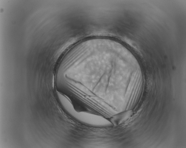 X0000088411221200706191414