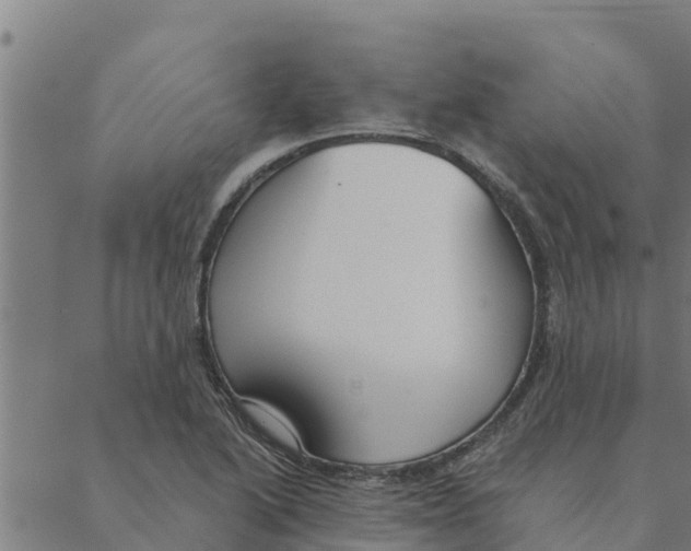 X0000088411222200706191414