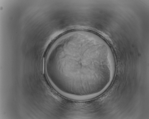 X0000088411223200706191414