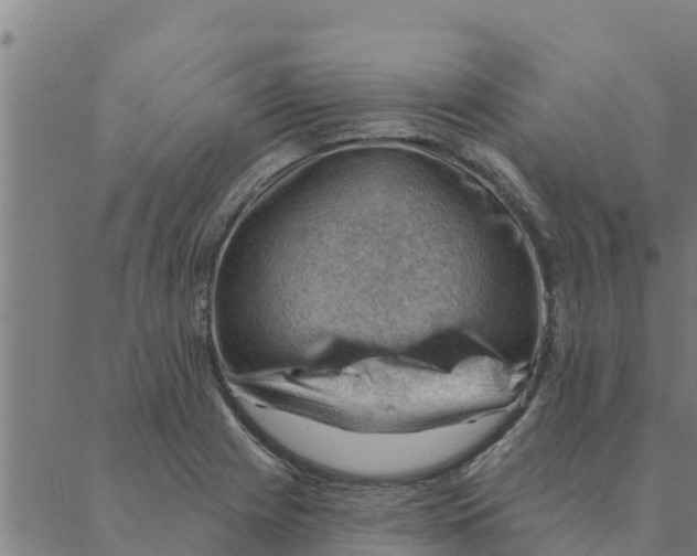 X0000088411225200706191414