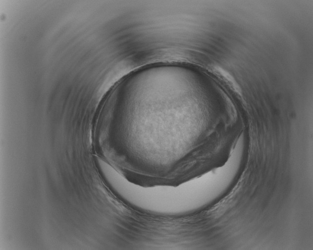 X0000088411226200706191414