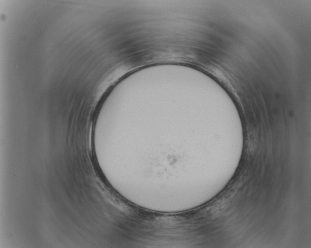 X0000088411227200706191414