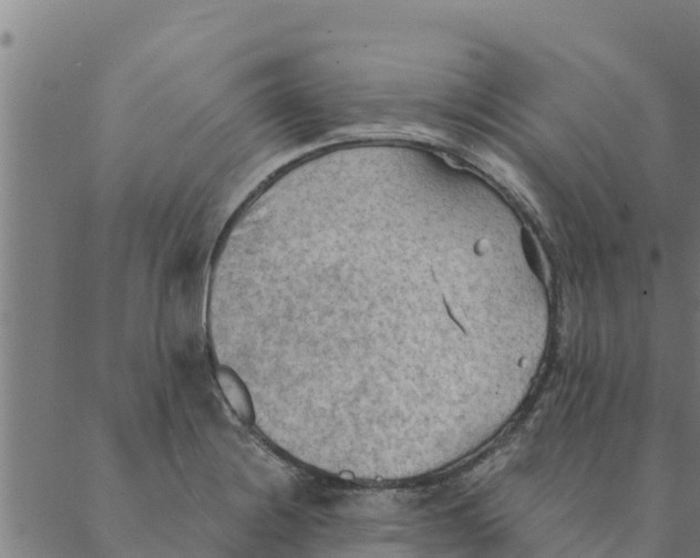 X0000088411228200706191414