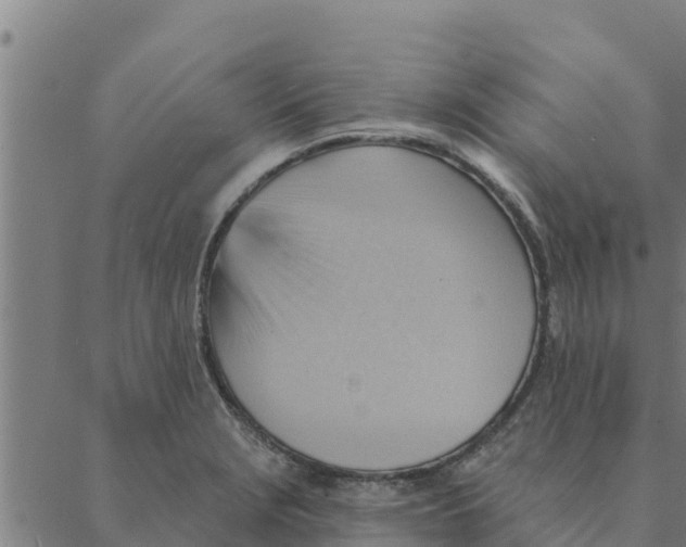 X0000088411229200706191414