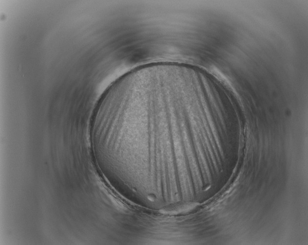 X0000088411230200706191414