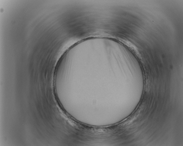 X0000088411231200706191414