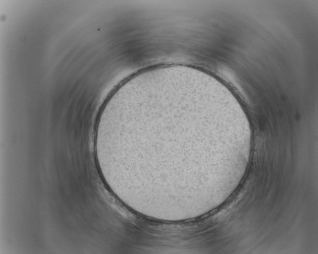 X0000088411232200706191414