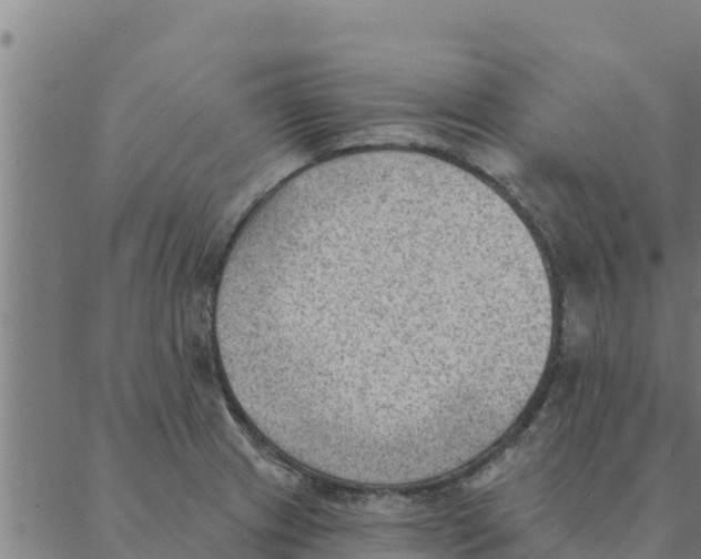 X0000088411233200706191414