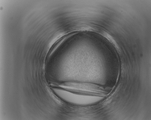 X0000088411234200706191414