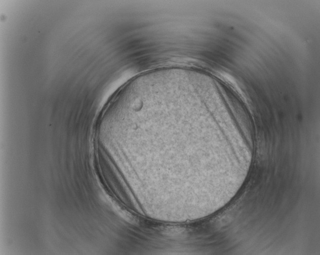 X0000088411235200706191414