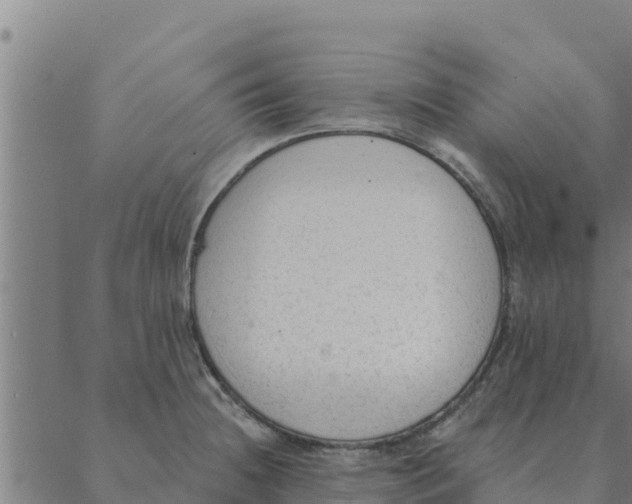 X0000088411236200706191414