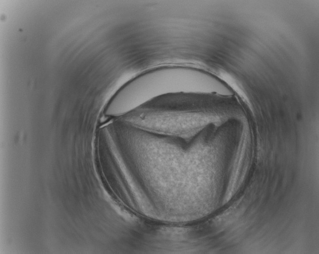 X0000088411237200706191414