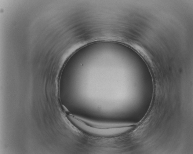 X0000088411238200706191414