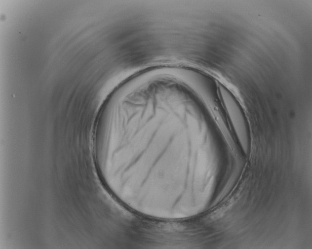 X0000088411239200706191414