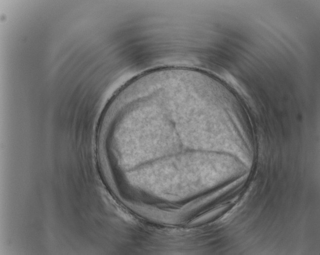 X0000088411240200706191414