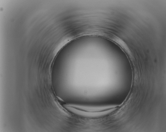 X0000088411242200706191414