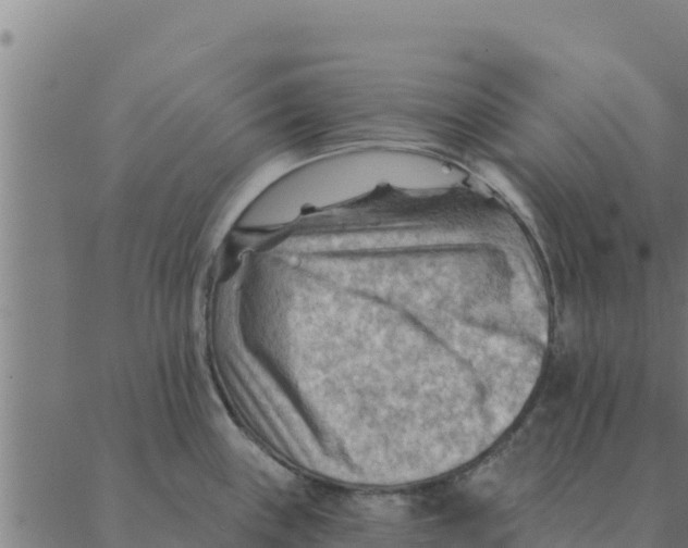 X0000088411243200706191414