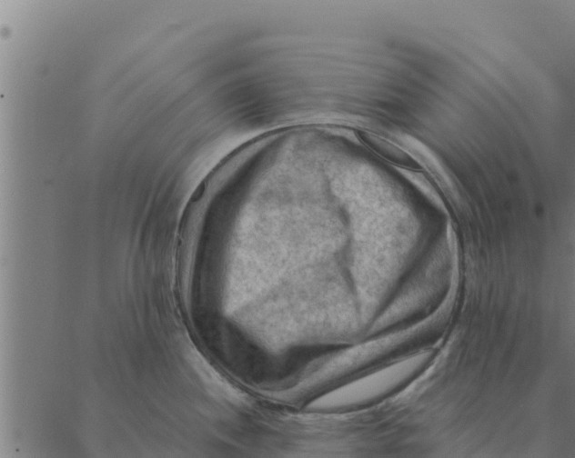 X0000088411244200706191414