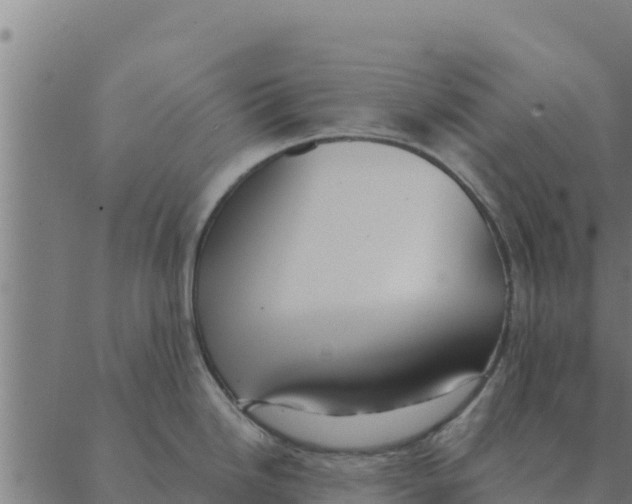 X0000088411246200706191414