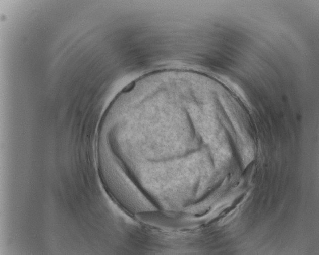 X0000088411247200706191414